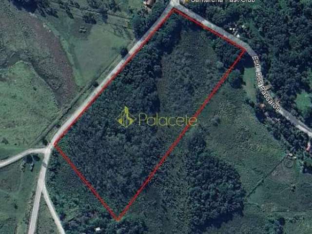 Terreno à venda 64000M², Barranco Alto, Caraguatatuba - SP