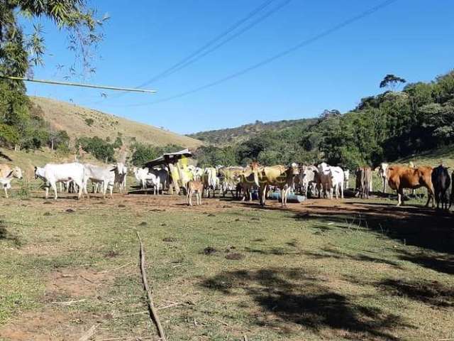 Chácara à venda 484000M², Cruz Pequena, Pindamonhangaba - SP