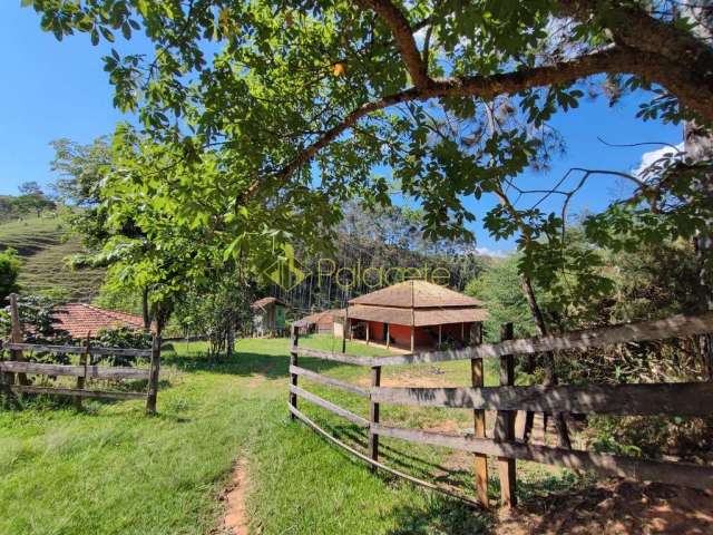 Chácara à venda 3 Quartos, 1 Suite, 181500M², Centro, Cunha - SP