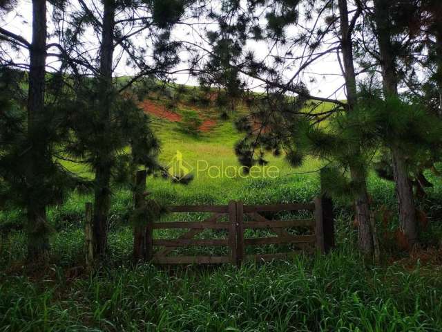 Chácara à venda 30000M², Zona Rural, Silveiras - SP