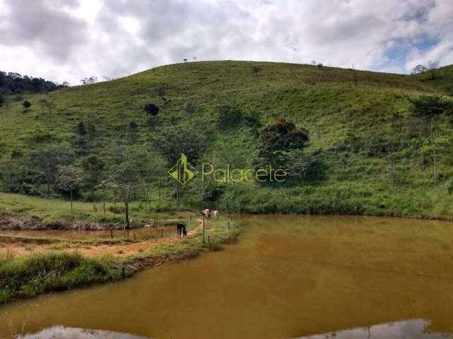 Chácara à venda 2 Quartos, 135000M², Zona Rural, Piquete - SP