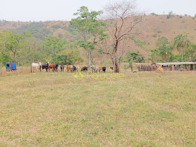 Fazenda proxima a Dutra paraa venda, , Roseira Velha, SP