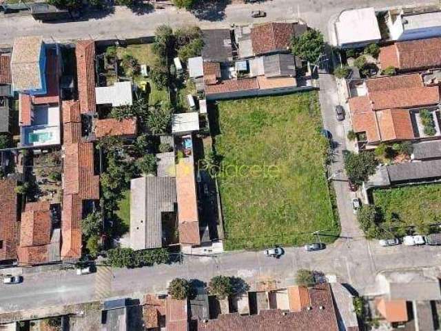 Terrenos Planos à Venda no Bairro Jardim Regina, Próximos à Rodovia Presidente Dutra, Com Excelente