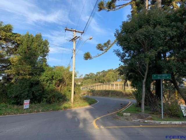 Terreno Industrial para venda  no Bairro Ana Rech em Caxias do Sul