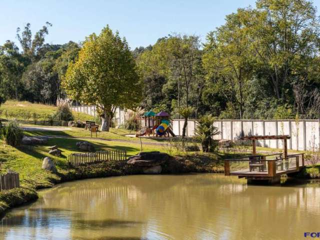 Terreno para venda  no Bairro Pedancino em Caxias do Sul