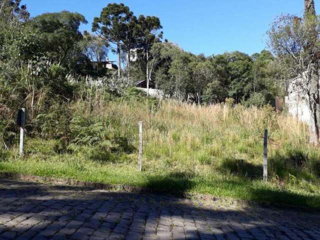 Terreno para venda  no Bairro Ana Rech em Caxias do Sul