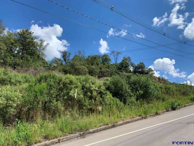 Terreno á venda no Vale dos Pinhais Bairro São Ciro