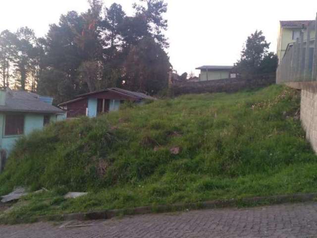 Terreno para venda  no Bairro São Caetano em Caxias do Sul