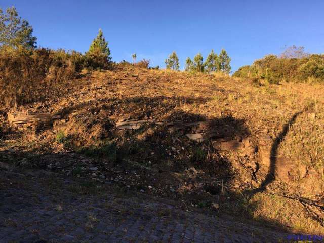 Terreno para venda  no Bairro Ana Rech em Caxias do Sul