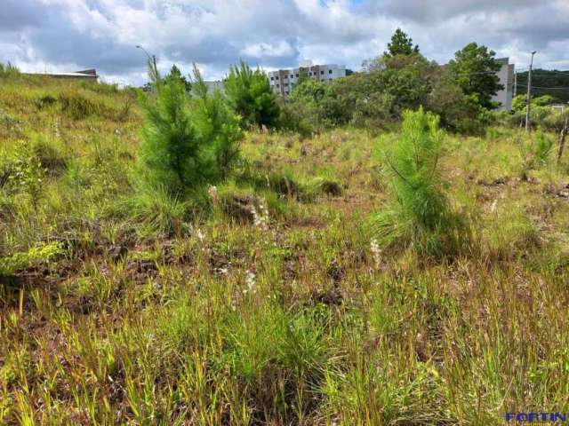 Terreno para venda  no Bairro Nossa Senhora das Graças em Caxias do Sul