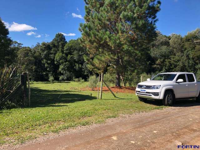 Chácara para venda  no Bairro Fazenda Souza em Caxias do Sul