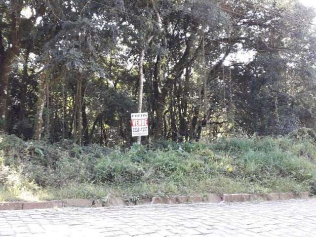 Terreno para venda  no Bairro Ana Rech em Caxias do Sul