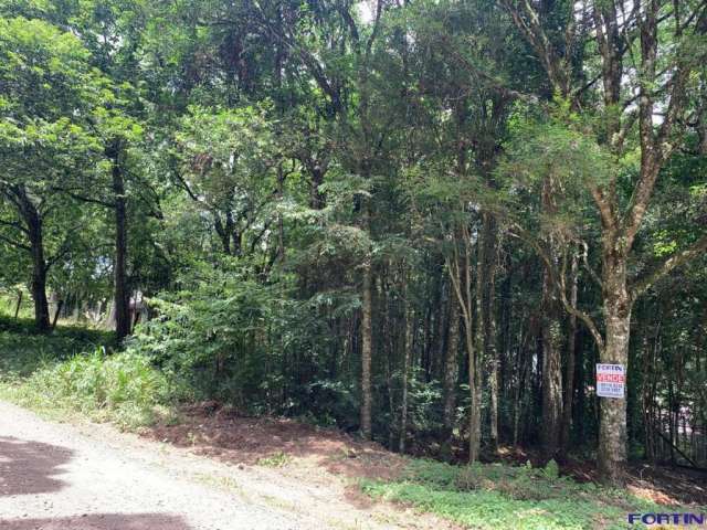 Terreno à venda em Ana Rech, Caxias do Sul