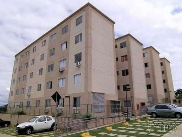 APARTAMENTO Santo Afonso Novo Hamburgo