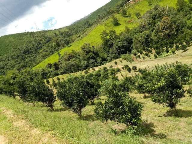 Sítio / Chácara para Venda no bairro CENTRO em CERRO AZUL, 2 quartos, 5 vagas, 51700 m² de área total, 51700 m² privativos,