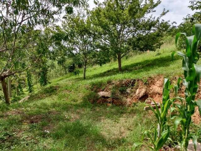 Sítio / Chácara para Venda no bairro São João do Caiva em Lapa, Sem Mobília, 181500 m² de área total, 181500 m² privativos,