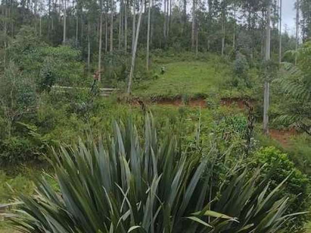 Sítio / Chácara para Venda no bairro RIBEIRÃO DO TIGRE em QUATRO BARRAS, Sem Mobília, 72600 m² de área total, 72600 m² privativos,