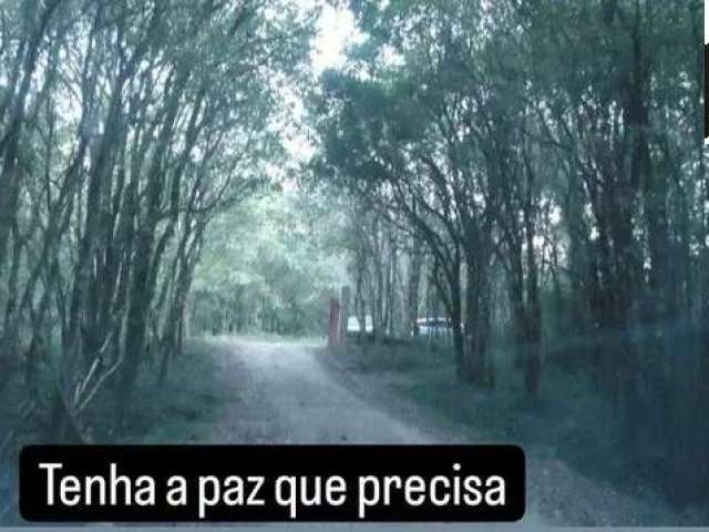 Sítio / Chácara para Venda no bairro COLONIA MARIENTAL em Lapa, 2 quartos, 2 vagas, 30250 m² de área total, 30250 m² privativos,