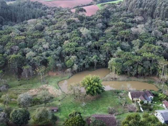 Sítio / Chácara para Venda no bairro São João do Caiva em Lapa, 5 quartos, 7 vagas, Semi-Mobiliado, 48000 m² de área total, 48000 m² privativos,