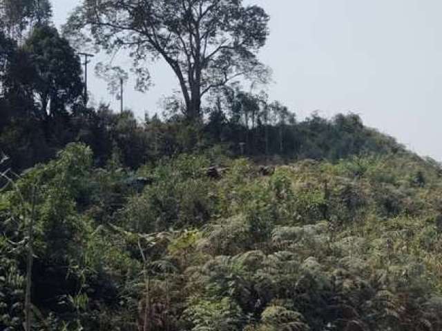 Sítio / Chácara para Venda no bairro ZONA RURAL em RIO BRANCO DO SUL, Sem Mobília, 40000 m² de área total, 40000 m² privativos,