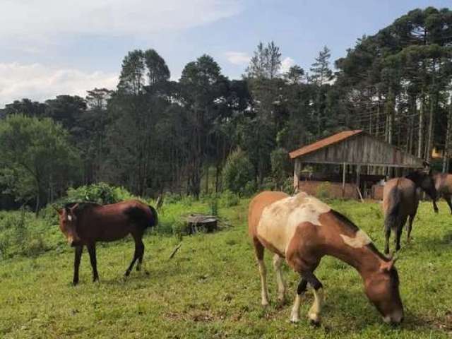 Sítio / Chácara para Venda no bairro ZONA RURAL em QUATRO BARRAS, 3 quartos, 5 vagas, Semi-Mobiliado, 16200 m² de área total, 16200 m² privativos,