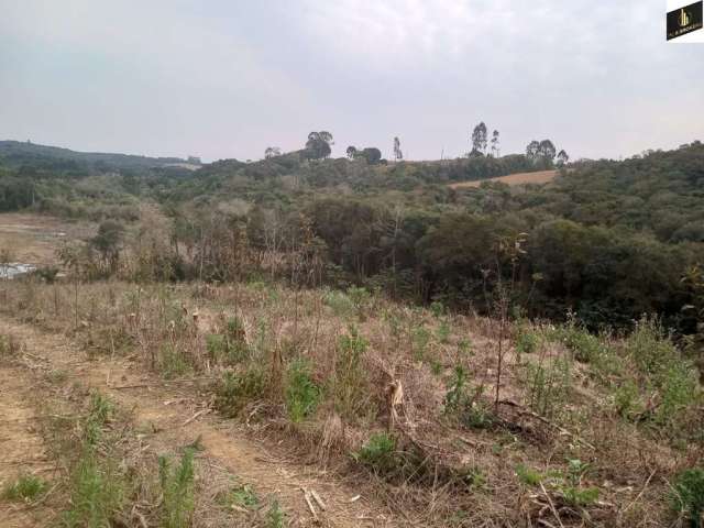 Sítio / Chácara para Venda no bairro Colonia Marcelino em São José dos Pinhais, Sem Mobília, 96800 m² de área total, 96800 m² privativos,