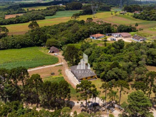 Chácara com 4 dormitórios à venda, 26000 m² por R$ 2.500.000,00 - Colônia Murici - São José dos Pinhais/PR