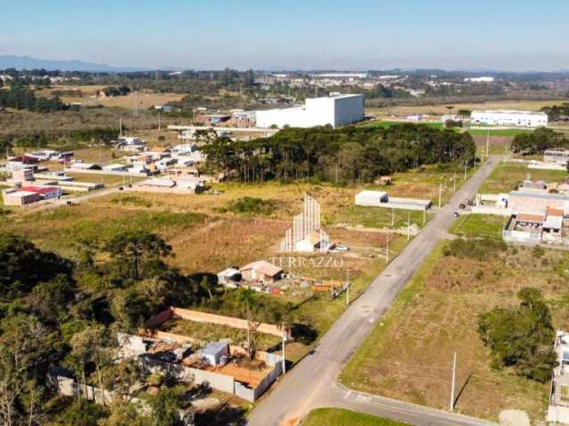 Terreno à venda, 574 m² por R$ 289.990,00 - Rio Pequeno - São José dos Pinhais/PR