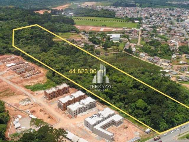 Terreno à venda, 44823 m² por R$ 14.000.000,00 - Estados - Fazenda Rio Grande/PR