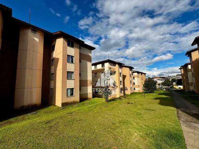 Apartamento com 2 dormitórios à venda, 44 m² por R$ 209.000,00 - Colônia Rio Grande - São José dos Pinhais/PR