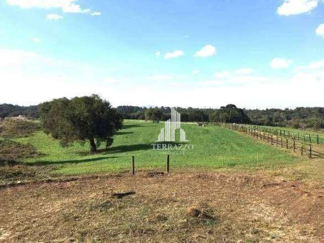 Área à venda, 20000 m² por R$ 2.160.000,00 - Campo Largo da Roseira - São José dos Pinhais/PR