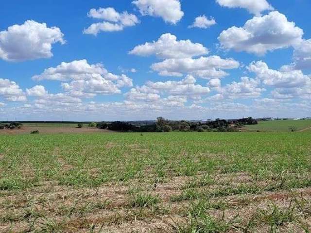 Área Rural em Piracicaba, Sp com 41.600 m²