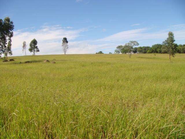 Terreno à venda na Rodovia Presidente Castelo Branco, City Castello, Itu - SP