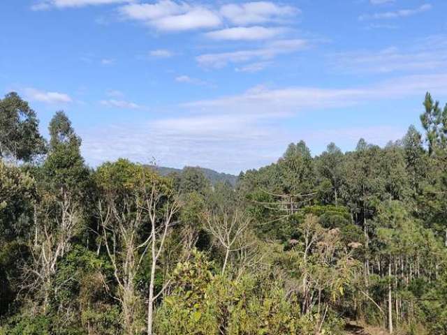 Chácara para Venda em Campo Alegre, Bateias de Baixo