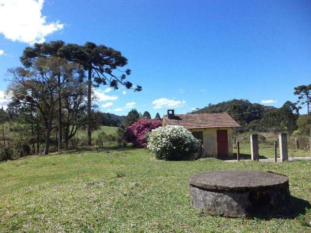 Chácara para Venda em Campo Alegre, São Miguel