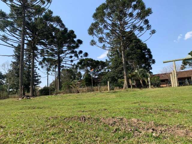 Terreno Urbano - Campo Alegre