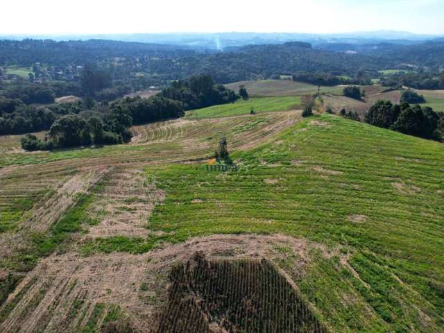 Área 20mil m² - Campo Alegre/SC