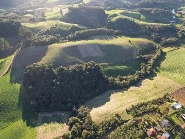 Área em Campo Alegre - 40.000,00m²