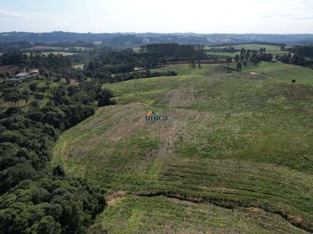 Chácara / sítio à venda no Centro, Campo Alegre  por R$ 2.825.000