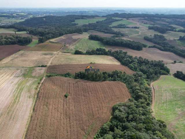 Área/ Terreno - Campo Alegre