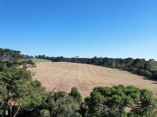 Chácara / sítio à venda no Centro, Campo Alegre  por R$ 3.330.000