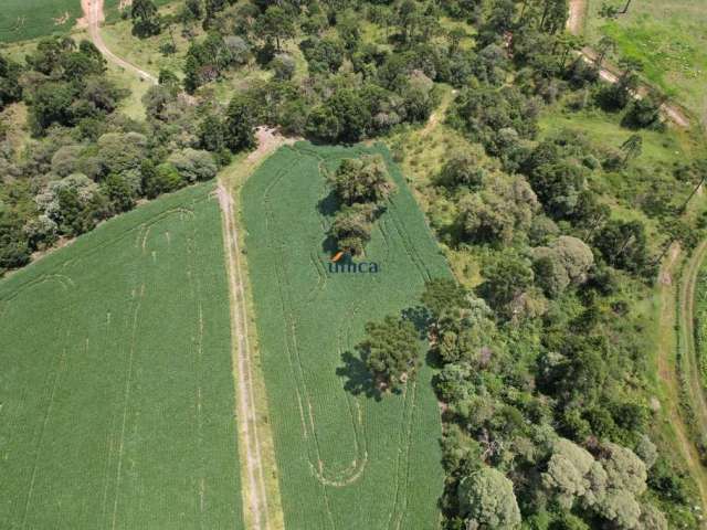 Chácara - Campo Alegre - SC