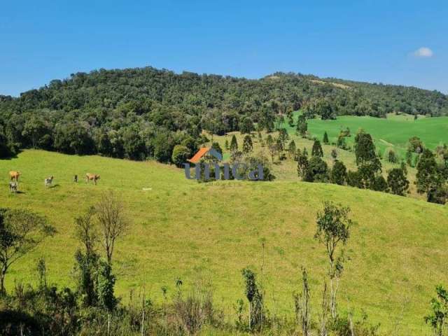 Chácara, Fazenda, sítio - Campo Alegre SC