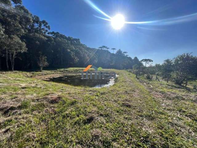 Chácara / sítio com 1 quarto à venda no Centro, Campo Alegre  por R$ 1.850.000