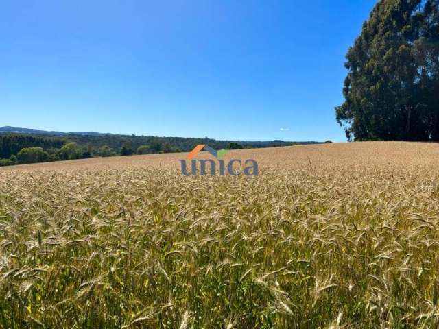 Chácara a venda em campo alegre/sc