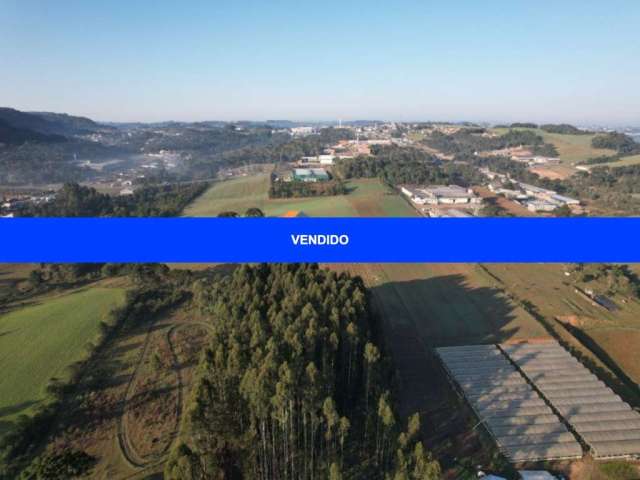 Terreno Urbano - São Bento do Sul