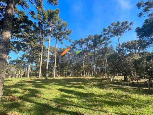 Chacara, Fazenda, Sitio, Imobiliaria em Campo Alegre