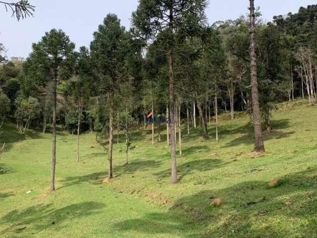 Chácara / sítio à venda no Centro, Campo Alegre  por R$ 500.000