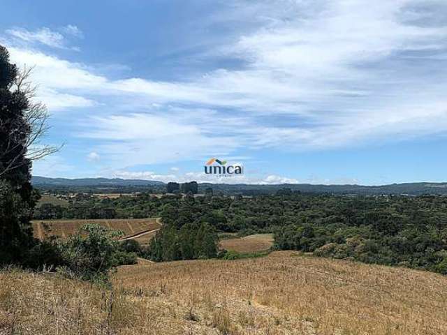 Terreno à Venda ? 20.000,00 m² em Campo Alegre/SC