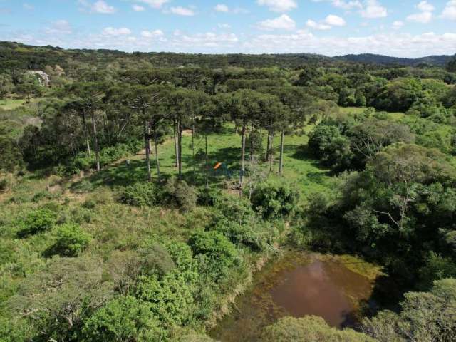 Terreno à Venda 17.000 m² em Campo Alegre/SC